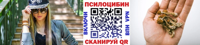 Псилоцибиновые грибы GOLDEN TEACHER  Отрадная 