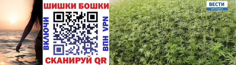 МАРИХУАНА THC 21%  цены   Отрадная 